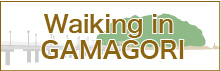 Walking in GAMAGORI